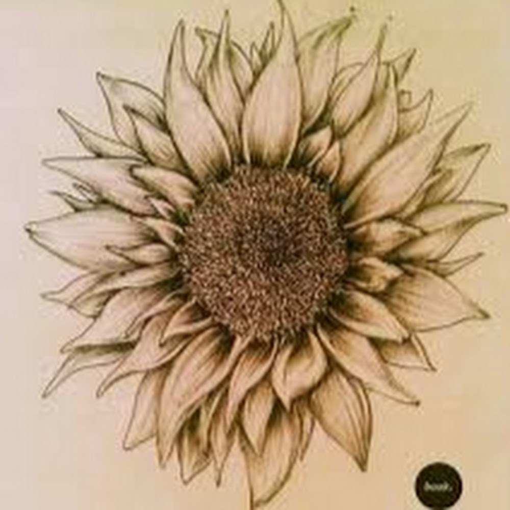 Meet your Posher, Liesel